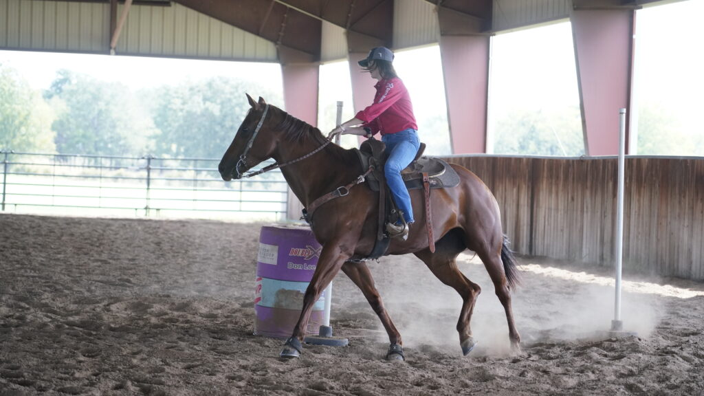 Rider in a pink shirt and ball cap turns her sorrel horse around a barrel in a covered arena, kicking up dust