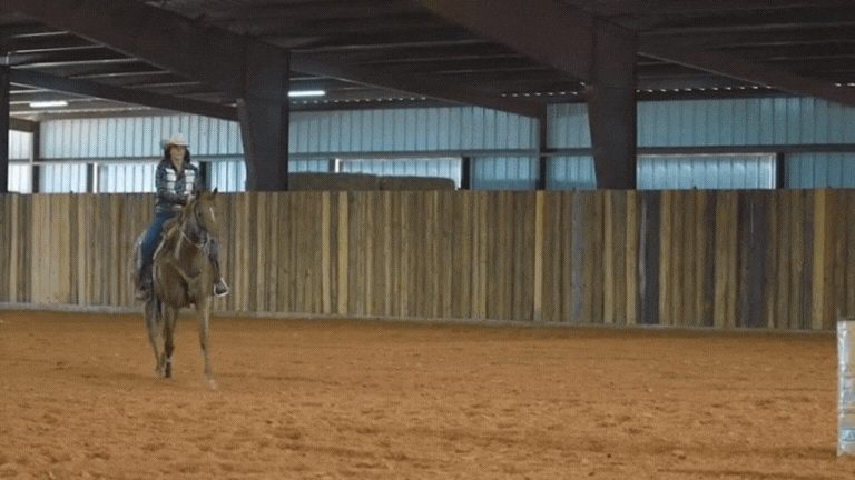 Rider on horseback trotting across sandy arena floor inside indoor facility with corrugated metal walls