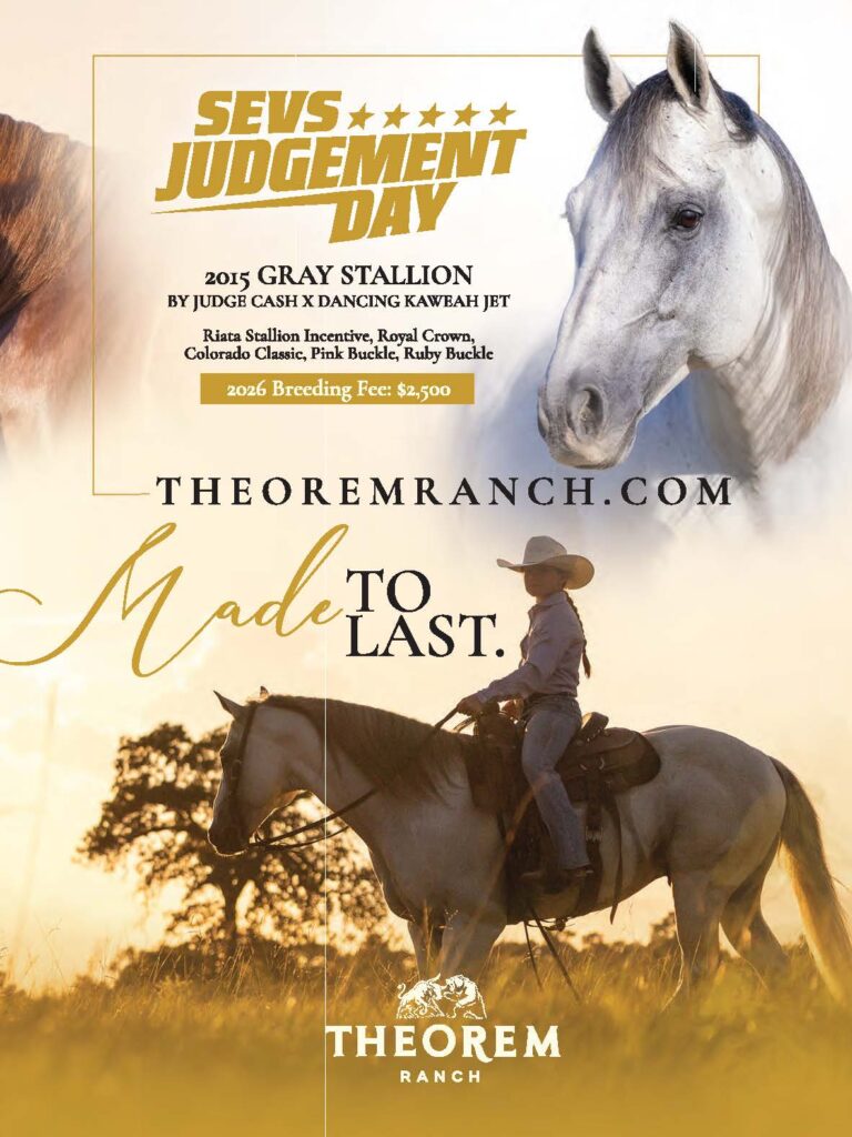 Theorem Ranch ad for gray stallion Sevs Judgement Day, with a rider on a gray horse at sunset