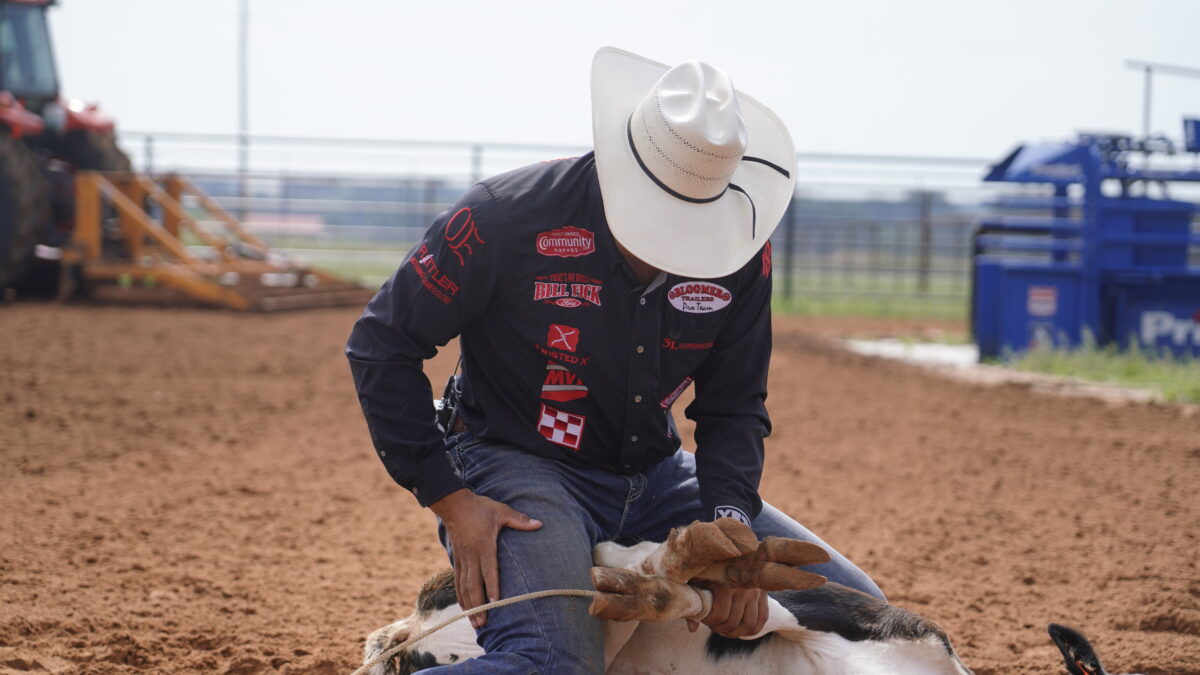 Cowboy in a white hat and sponsor-covered navy shirt kneels in the arena dirt to tie a calf's legs during tie-down roping