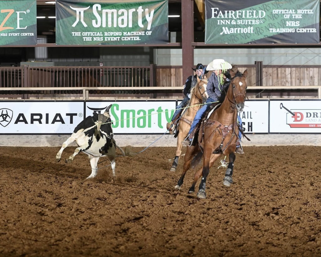 Two team ropers on sorrel horses chase a roped black-and-white steer across the arena at the NRS Event Center