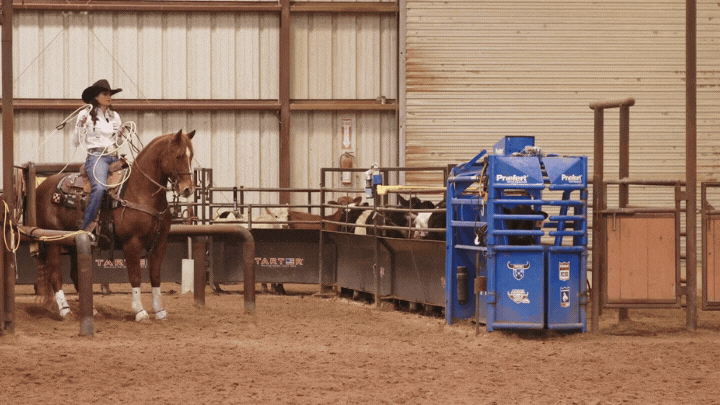 Shelby Meged’s 3 Tips for Seasoning a Green Breakaway Horse
