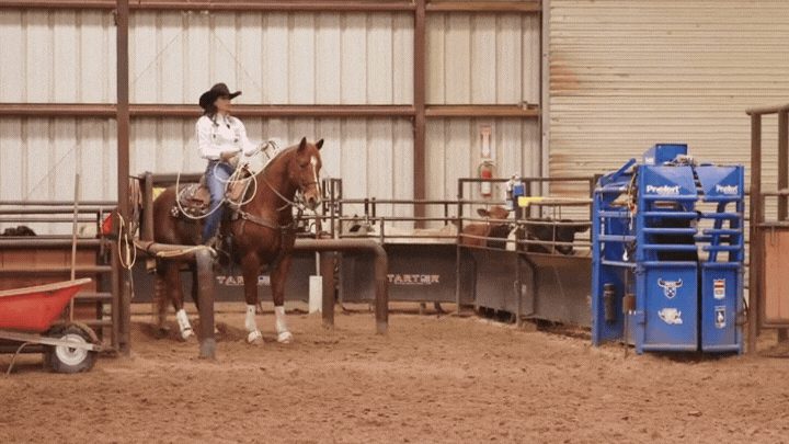 Cowgirl on horseback holding a lasso in a practice arena with a blue ProRodeo chute and red equipment nearby