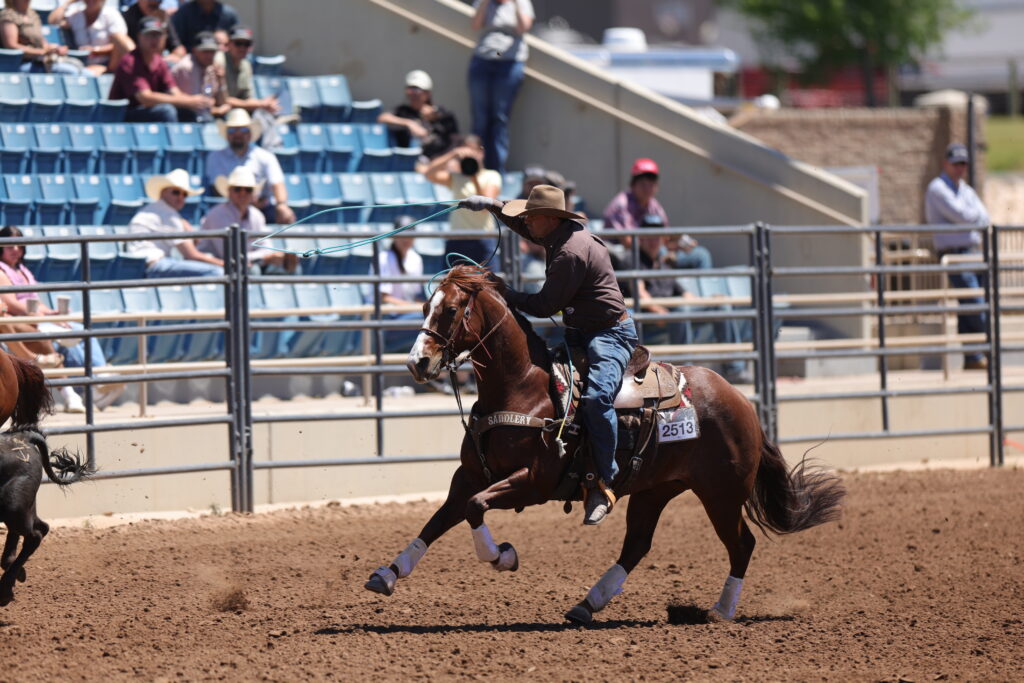 Cowboy on brown horse with number 2513 swings rope during roping event in arena with spectators in bleachers