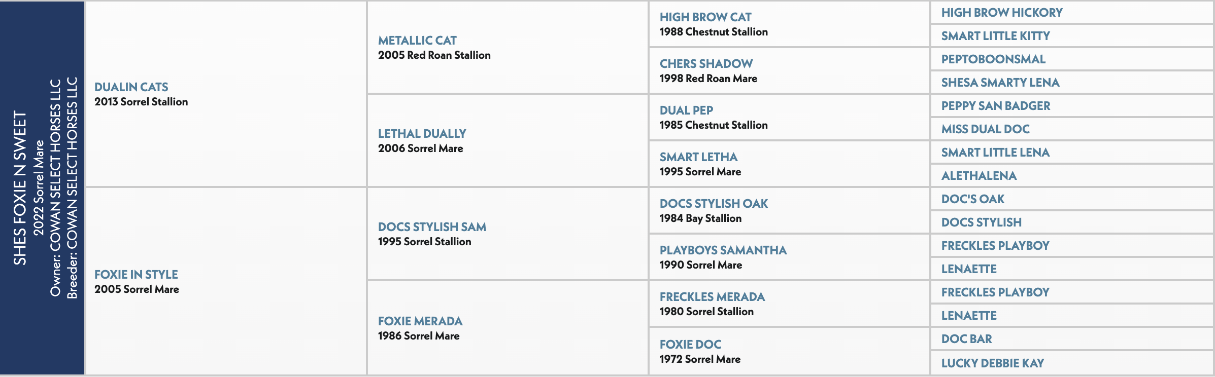 Shes Foxen Sweet 2022 Sorrel Mare pedigree chart showing owner-breeder connections across multiple generations of horses