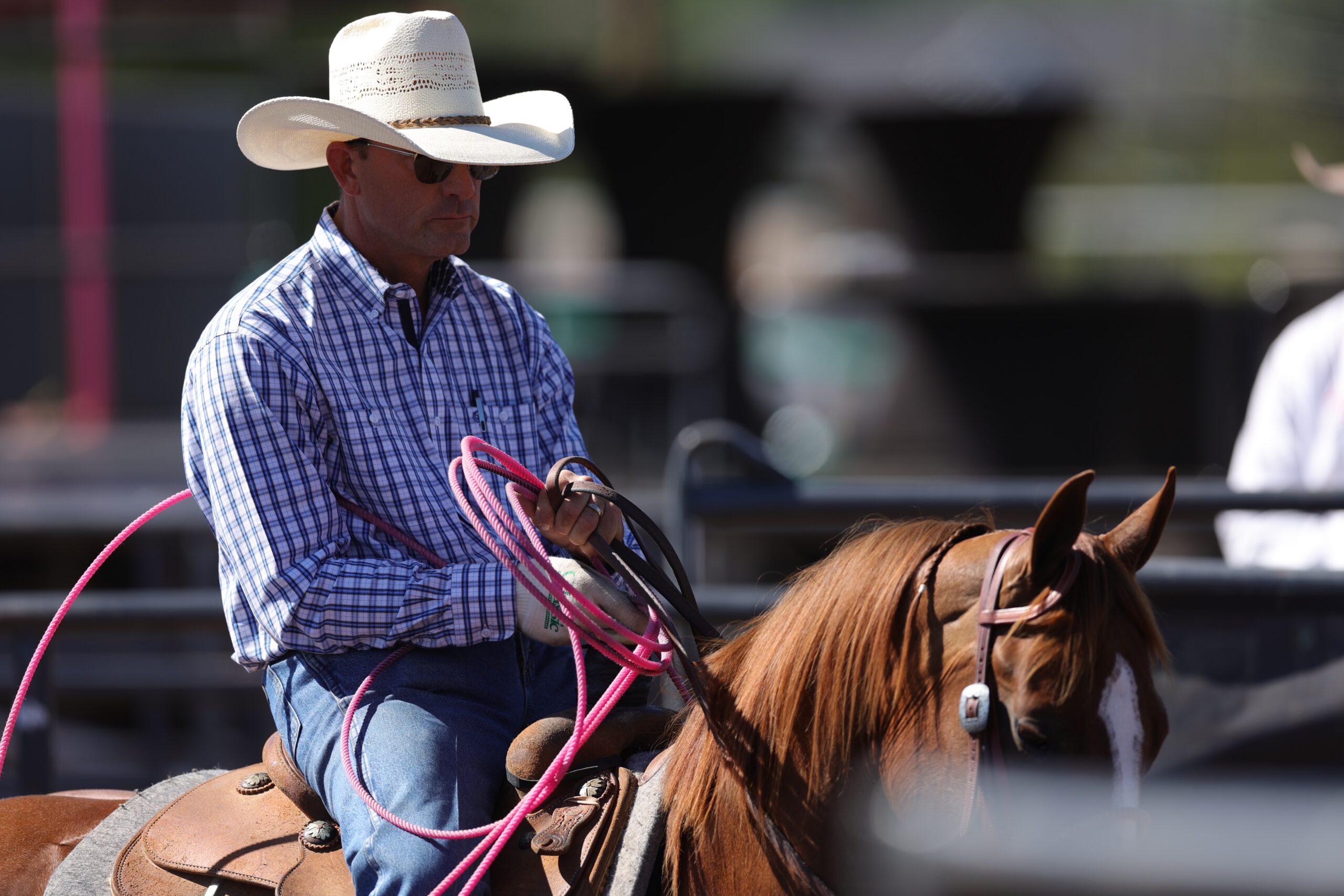 Cowboy in blue plaid shirt and white Stetson holds pink rope while mounted on brown horse at rodeo arena