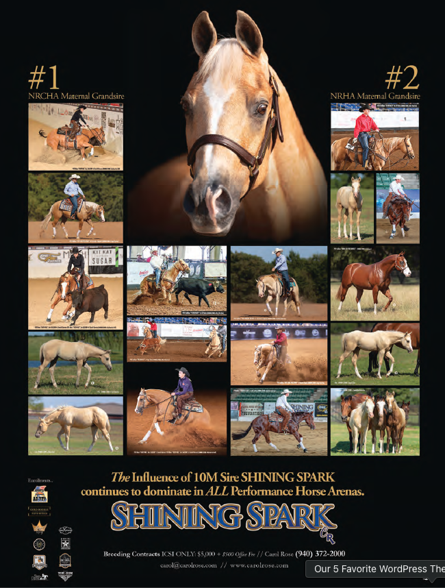 Breeding advertisement for palomino stallion Shining Spark, featuring a portrait surrounded by photos of performance horses and foals