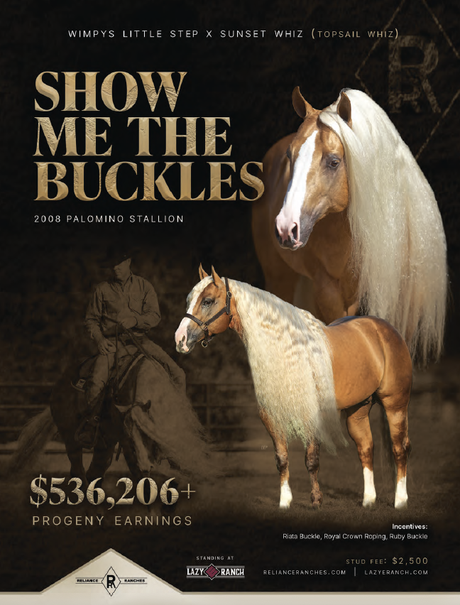 Stallion breeding advertisement featuring a palomino horse with white mane and a handler, promoting "Show Me the Buckles," a 2008 Palomino stallion with $536,206+ in progeny earnings