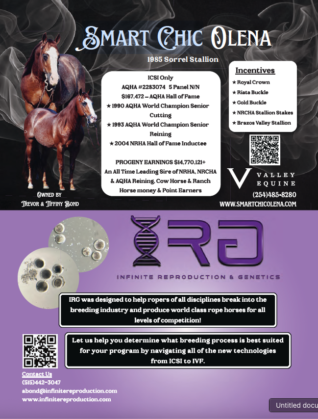 Breeding advertisement for the 1985 sorrel stallion Smart Chic Olena, listing achievements alongside Valley Equine and IRG logos