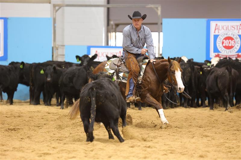 Cutting horse rider in a black cowboy hat works a black steer away from the herd in a sandy arena