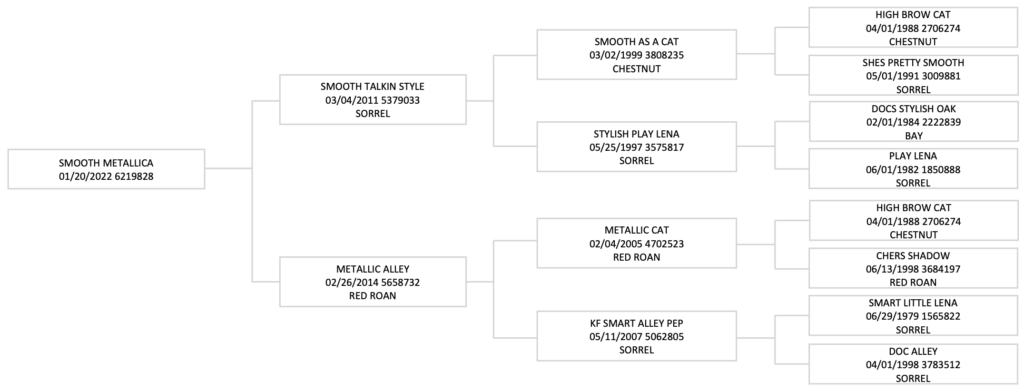 Four-generation pedigree chart for the 2022 sorrel horse Smooth Metallica, tracing sires and dams back to great-grandparents