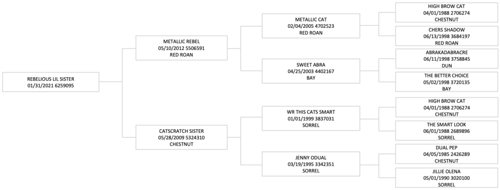 Five-generation pedigree chart for Rebelious Lil Sister, tracing sire Metallic Rebel and dam Catscratch Sister back to High Brow Cat