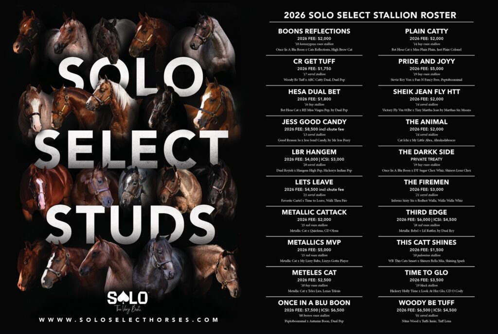Solo Select Studs 2026 stallion roster featuring 28 sires with breeding fees and pedigree information for rodeo and ranch horse programs