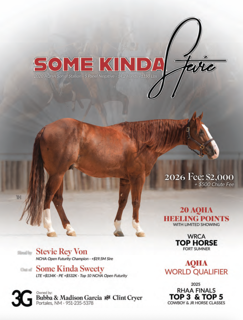 Sorrel stallion "Some Kinda Ferve" standing in profile with breeding advertisement details including sire, dam, and 2026 breeding fee information