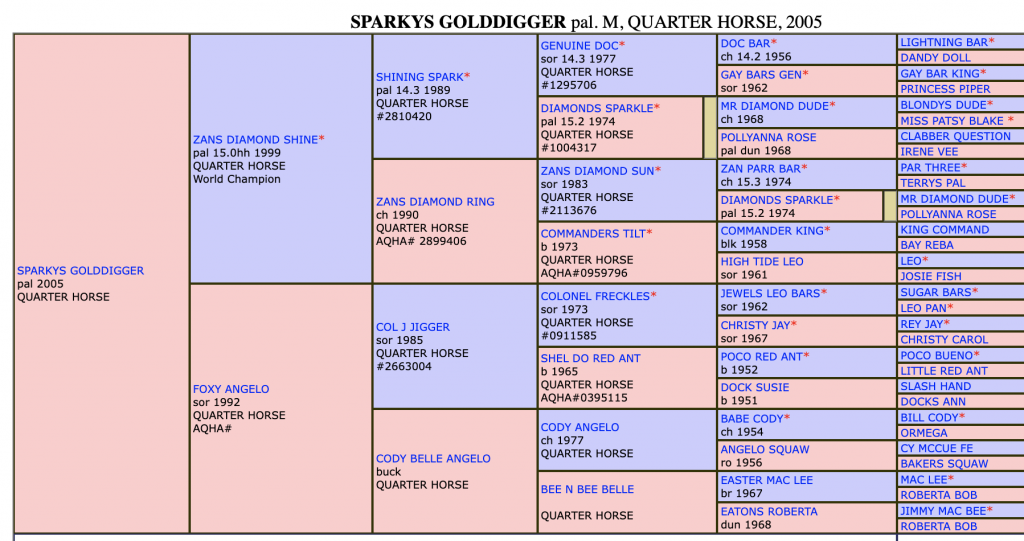 Five-generation pedigree chart for Sparkys Golddigger, a 2005 palomino Quarter Horse mare, listing sires and dams by name and year