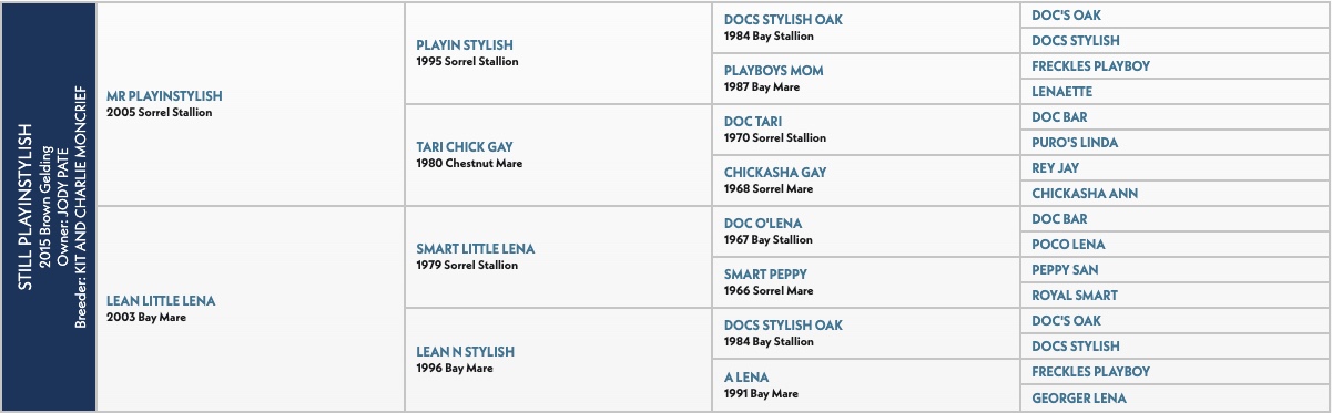 Event bracket or standings chart with blue header section and multiple columns of text listings for what appears to be a rodeo or equestrian competition schedule