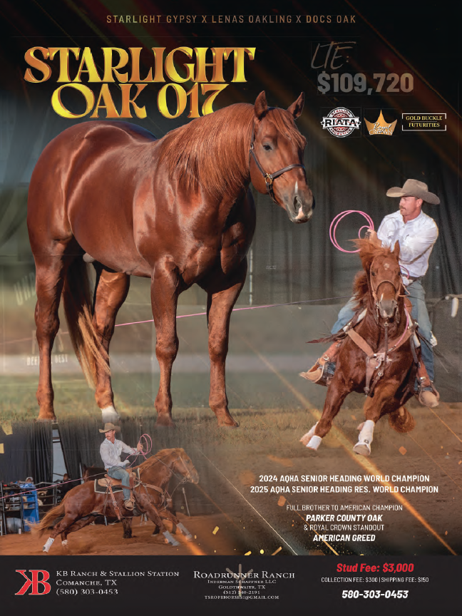 Stallion breeding ad for sorrel Quarter Horse Starlight Oak 017, shown standing plus inset photos of team roping runs