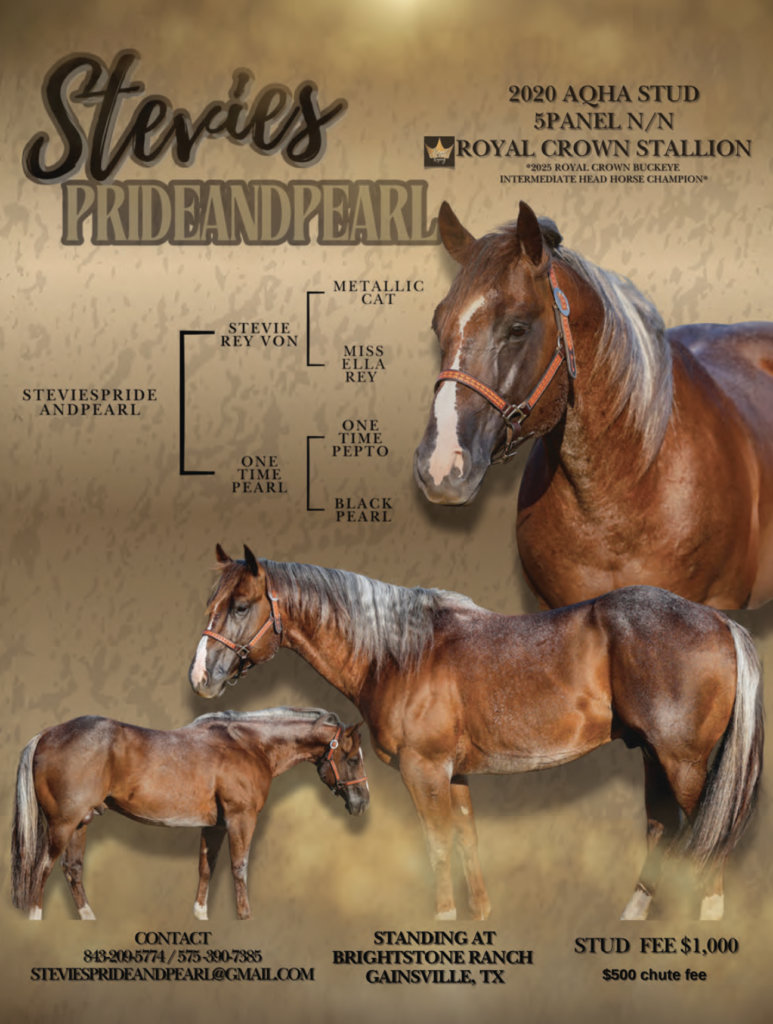 Stevies Prideandpearl, a 2020 AQHA stud stallion and Royal Crown Stallion standing at Brightstone Ranch in Gainsville, TX, shown with pedigree chart and contact information