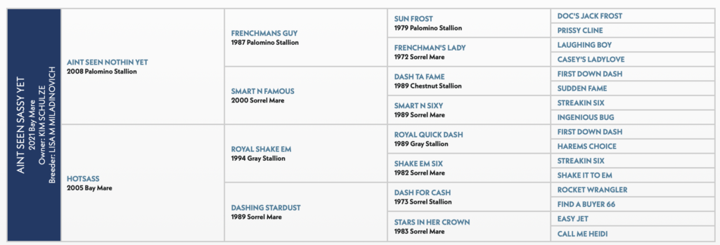 Five-generation pedigree chart for a 2021 bay mare, listing sires and dams including Frenchmans Guy, Dash Ta Fame and Dash For Cash