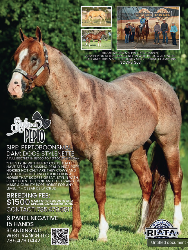Stallion breeding advertisement featuring a red roan Quarter Horse standing in grass, with inset foal and show photos