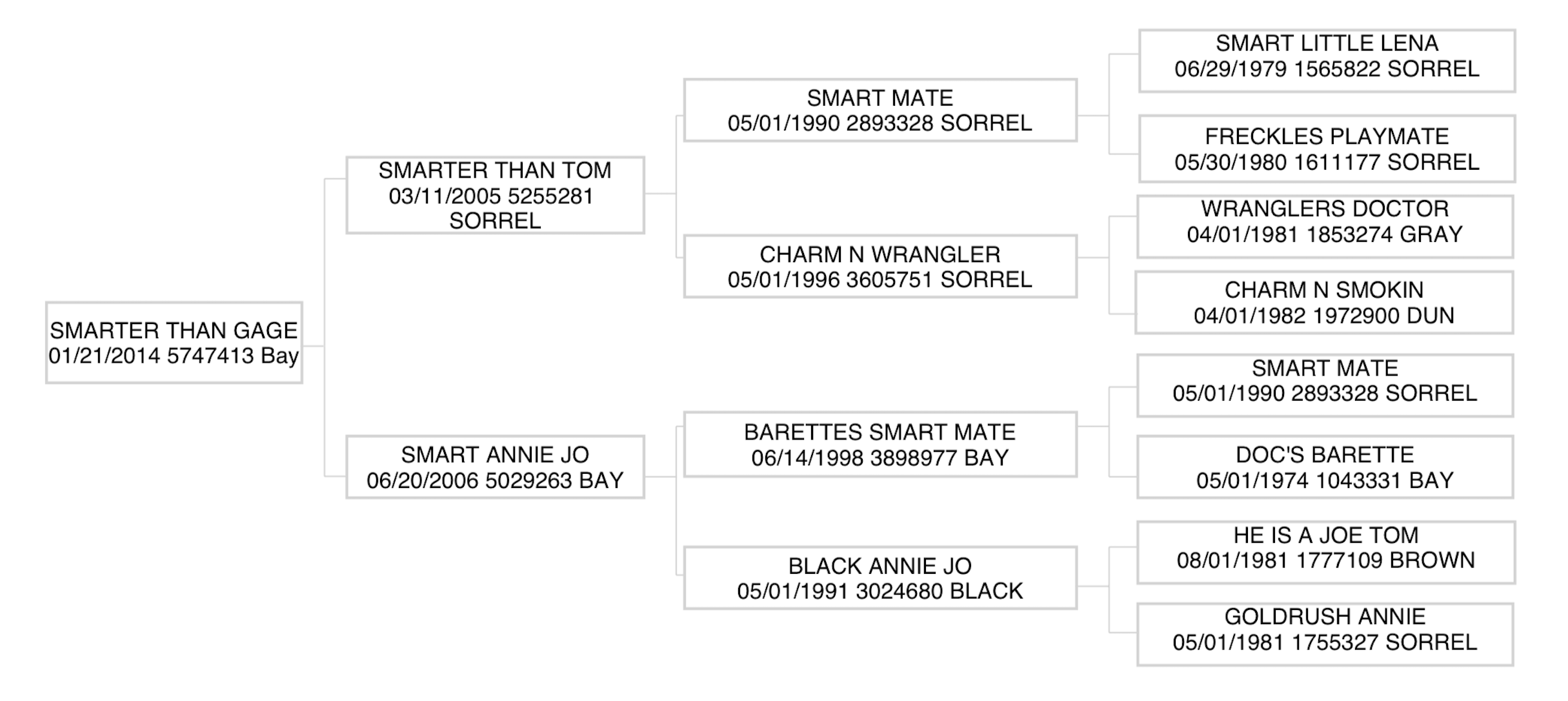 Three-generation pedigree chart for Smarter Than Gage, a 2014 bay, listing sires and dams with birthdates and registration numbers