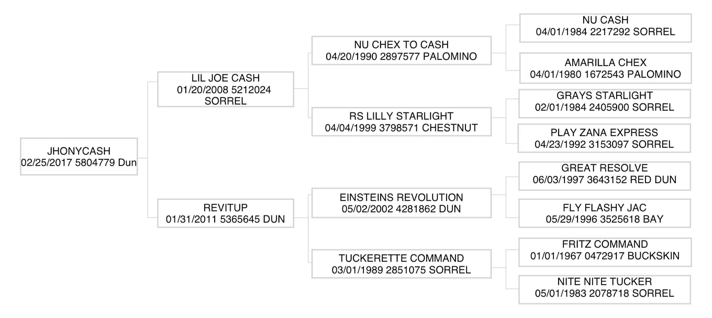Three-generation pedigree chart for the 2017 dun stallion Jhonycash, listing sire Lil Joe Cash, dam Revitup and 12 ancestors
