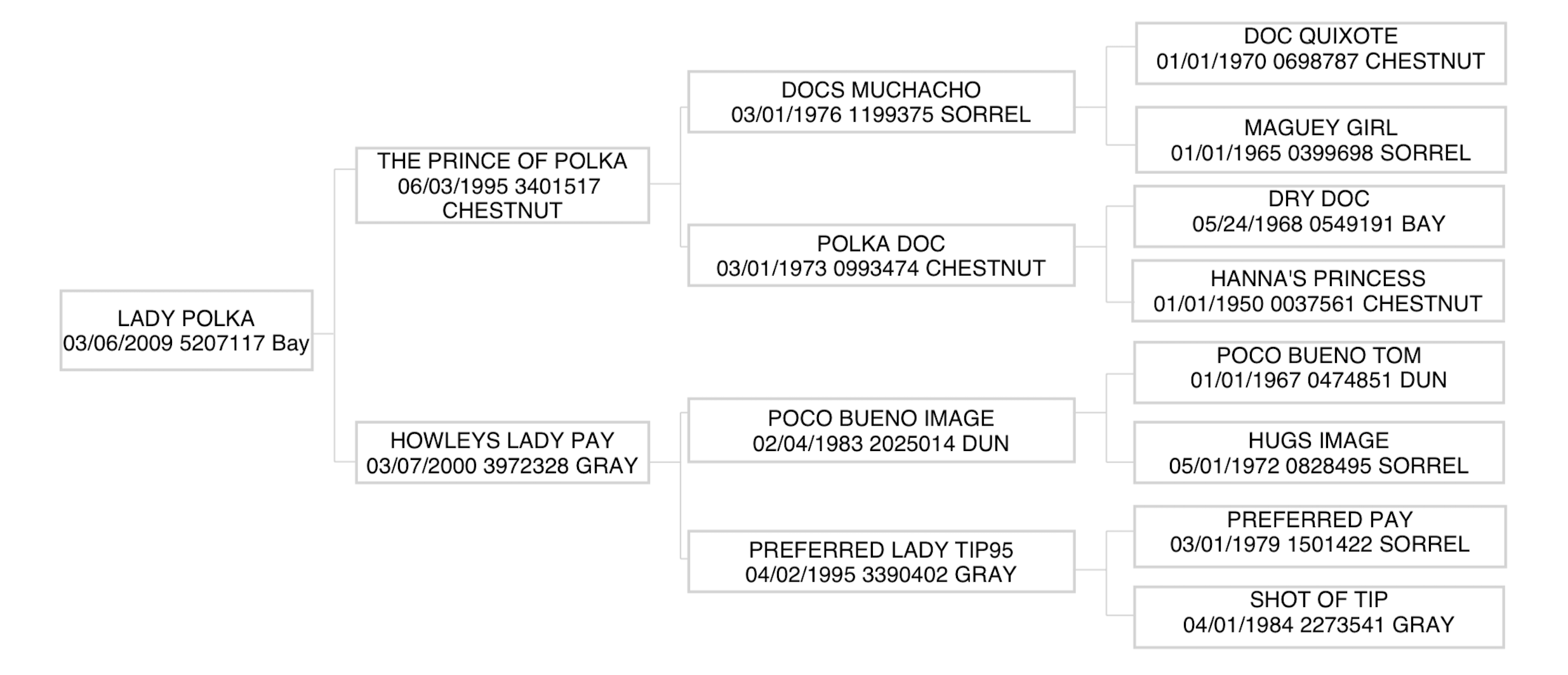 Three-generation pedigree chart for Lady Polka, a 2009 bay mare, listing sires and dams with foaling dates and registration numbers