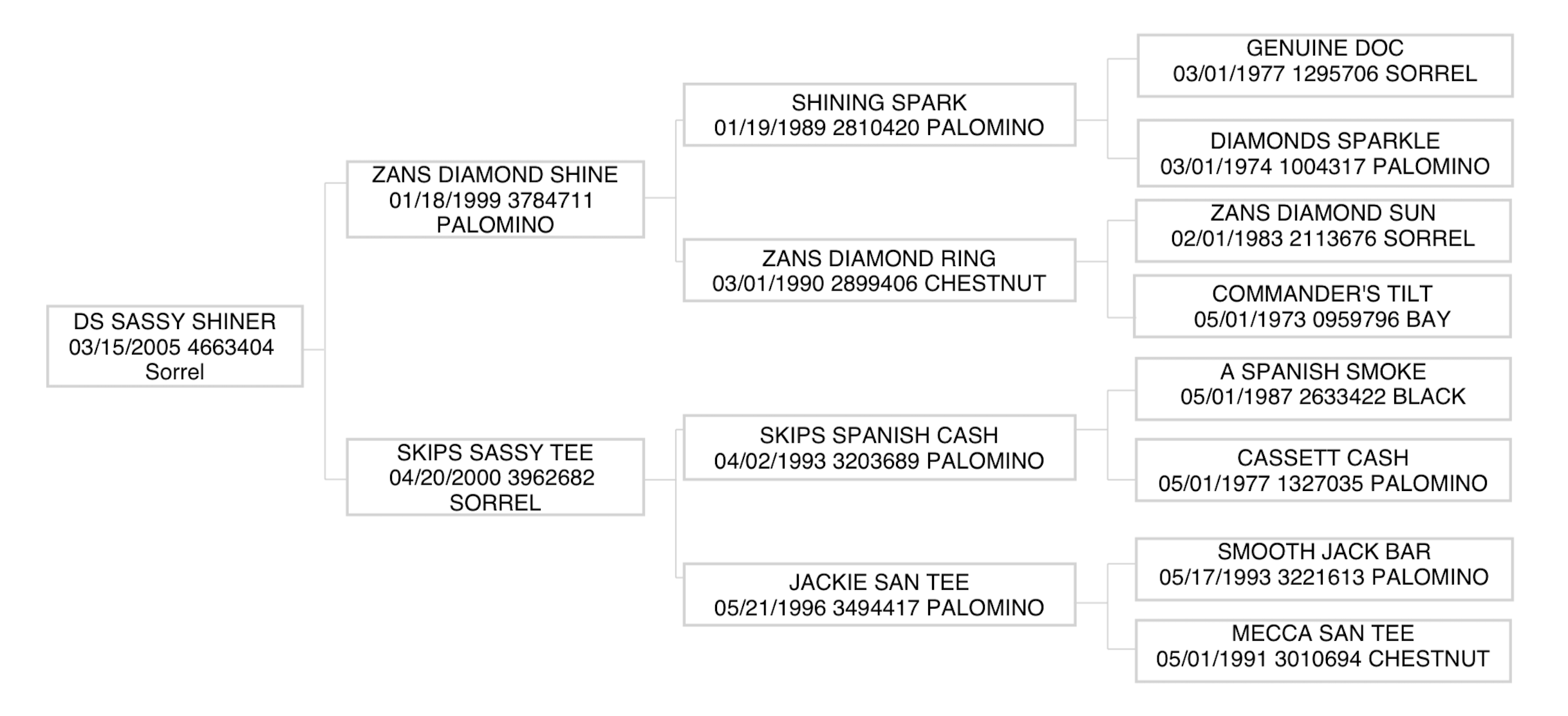 Three-generation pedigree chart for DS Sassy Shiner, a 2005 sorrel, tracing sire and dam lines back to Shining Spark