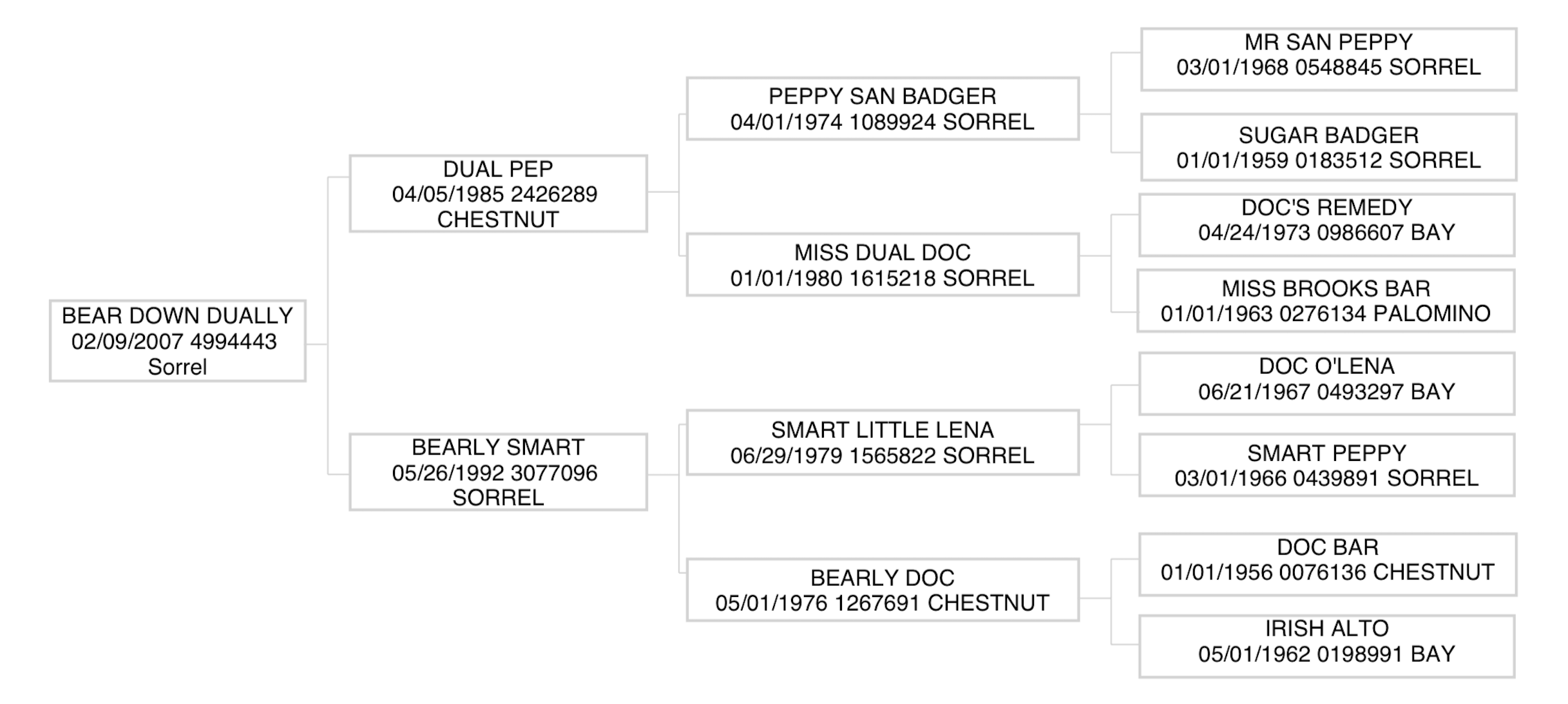 Three-generation pedigree chart for Bear Down Dually tracing sires and dams including Dual Pep and Smart Little Lena