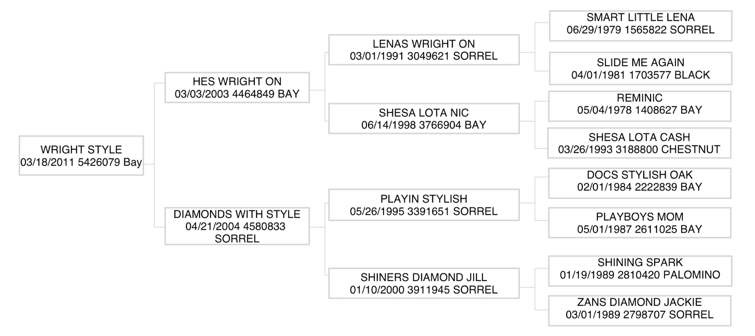 Three-generation pedigree chart for the 2011 bay horse Wright Style, listing sire, dam, grandparents and great-grandparents