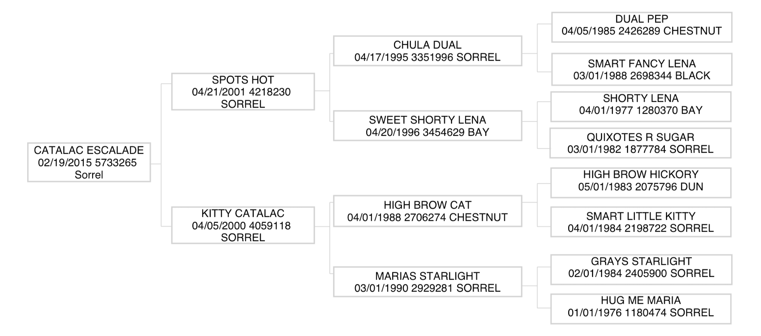 Three-generation pedigree chart for Catalac Escalade, tracing sires and dams back to Spots Hot and High Brow Cat