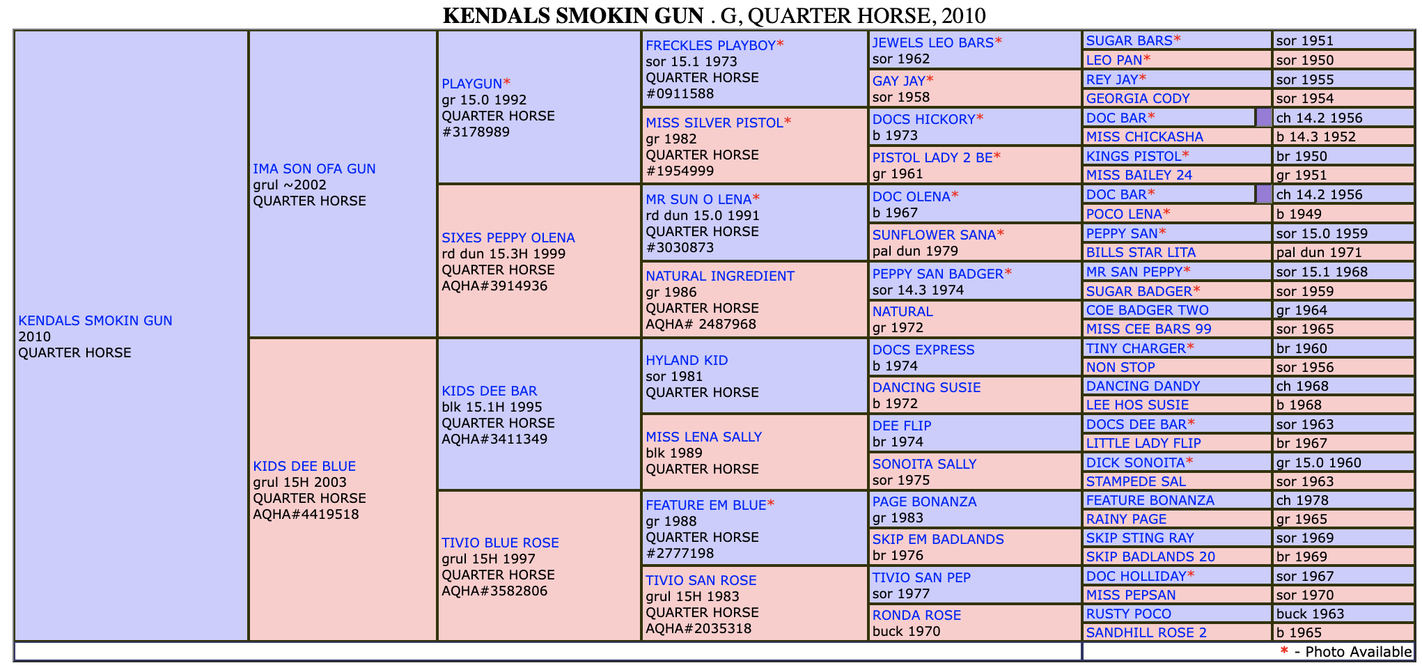 Five-generation pedigree chart for Kendals Smokin Gun, a 2010 Quarter Horse gelding, with color-coded sire and dam lines