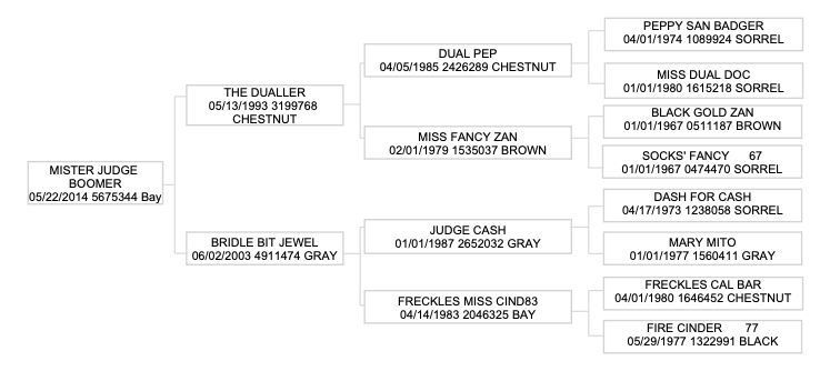 Five-generation pedigree chart for Mister Judge Boomer, tracing sires and dams including Peppy San Badger and Dash For Cash