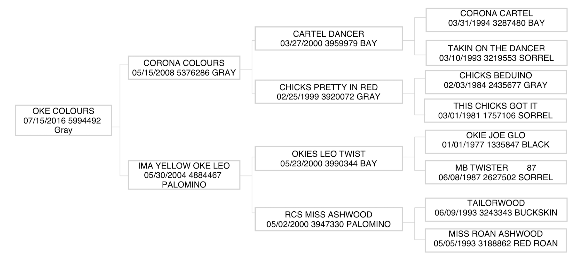 Three-generation pedigree chart for gray 2016 mare Oke Colours, tracing sire Corona Colours and dam Ima Yellow Oke Leo