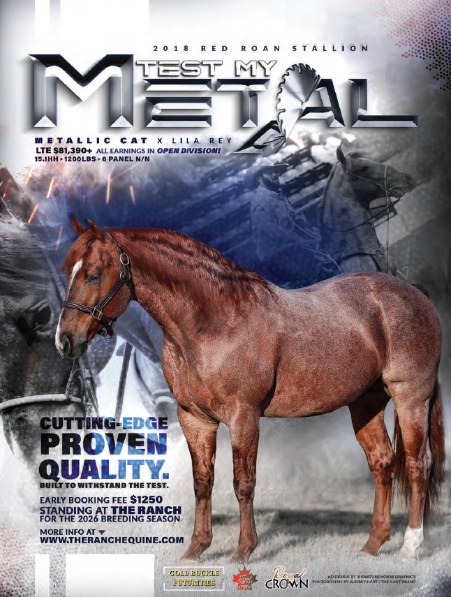 Breeding advertisement for the 2018 red roan stallion Test My Metal, shown standing in a halter conformation pose