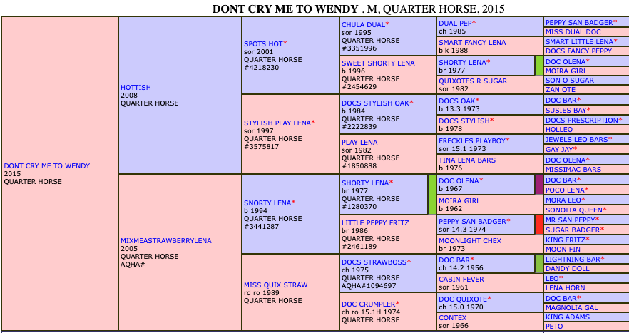 Dont Cry To Me Wendy pedigree