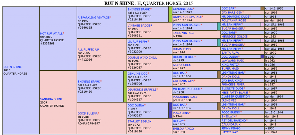 Five-generation pedigree chart for Ruf N Shine, a 2015 Quarter Horse, listing sires and dams with colors and foaling years