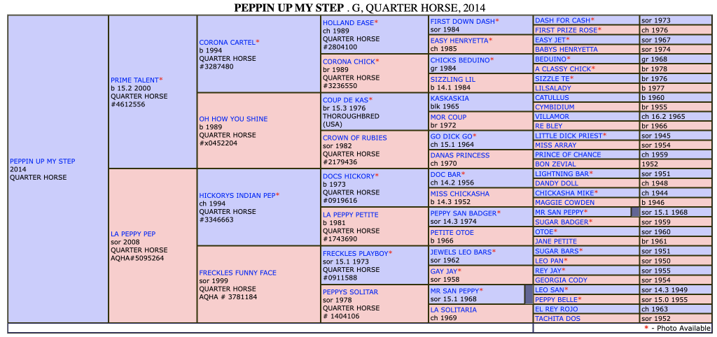 Five-generation pedigree chart for Peppin Up My Step, a 2014 gray Quarter Horse gelding, listing sires and dams