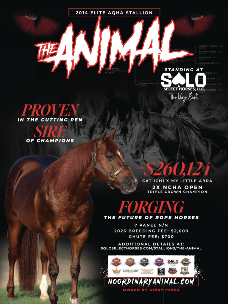 The Animal, a 2014 elite AQHA stallion standing at Solo Select Horses, displayed in promotional poster with pedigree details and breeding information for rope horse prospects