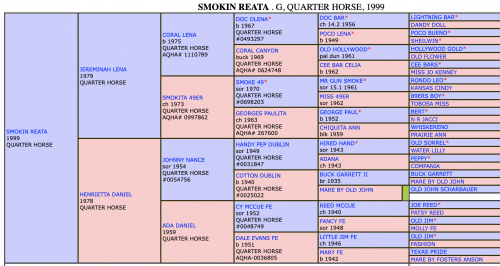 Smokin Reata Pedigree
