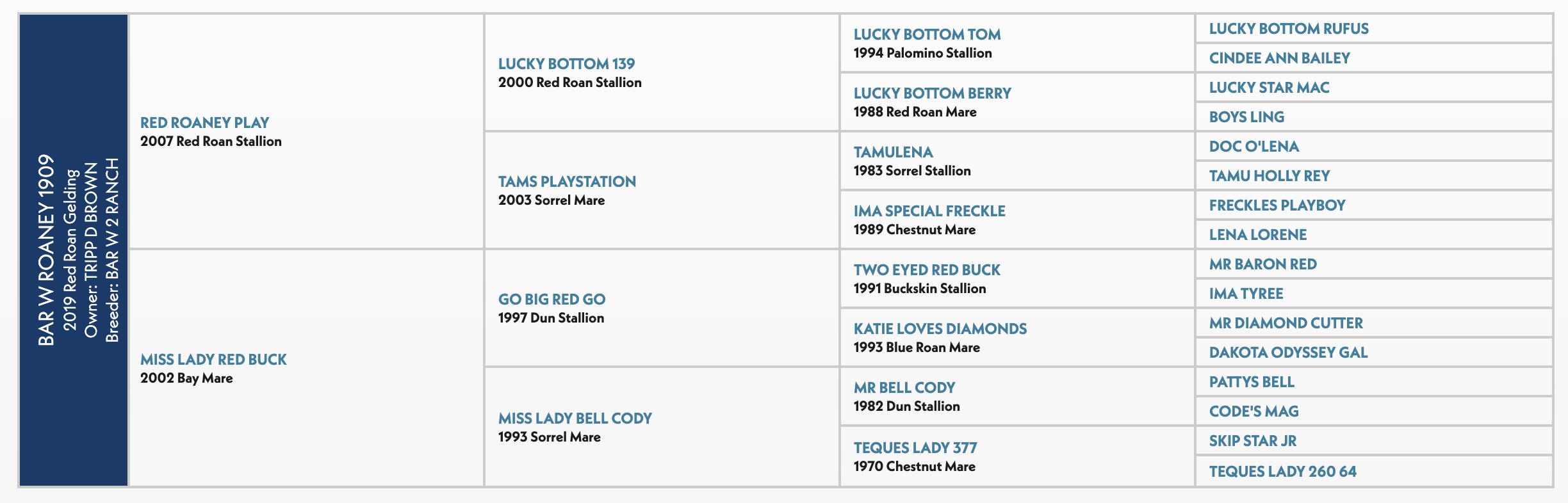Five-generation pedigree chart for Bar W Roaney 1909, a 2019 red roan gelding, listing sires and dams by year and color