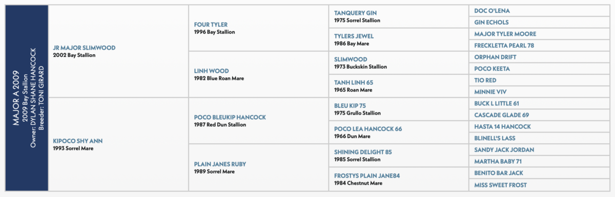 Five-generation pedigree chart for Major A 2009, a 2009 bay stallion sired by JR Major Slimwood out of Kipoco Shy Ann