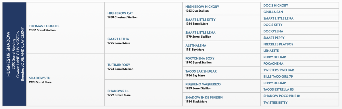 Five-generation pedigree chart for Hughes Ur Shadow, a 2010 sorrel gelding, listing sires and dams by name, year and color