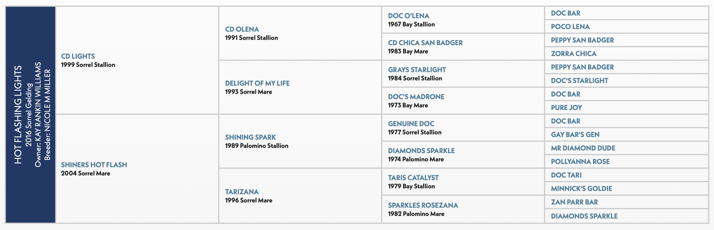 Five-generation pedigree chart for Hot Flashing Lights, a 2016 sorrel gelding, listing sire CD Lights and dam Shiners Hot Flash