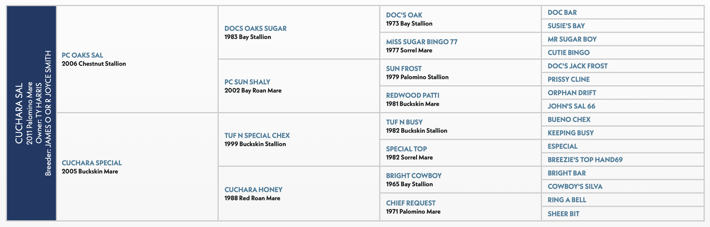 Five-generation pedigree chart for Cuchara Sal, a 2011 palomino mare, listing sire PC Oaks Sal and dam Cuchara Special
