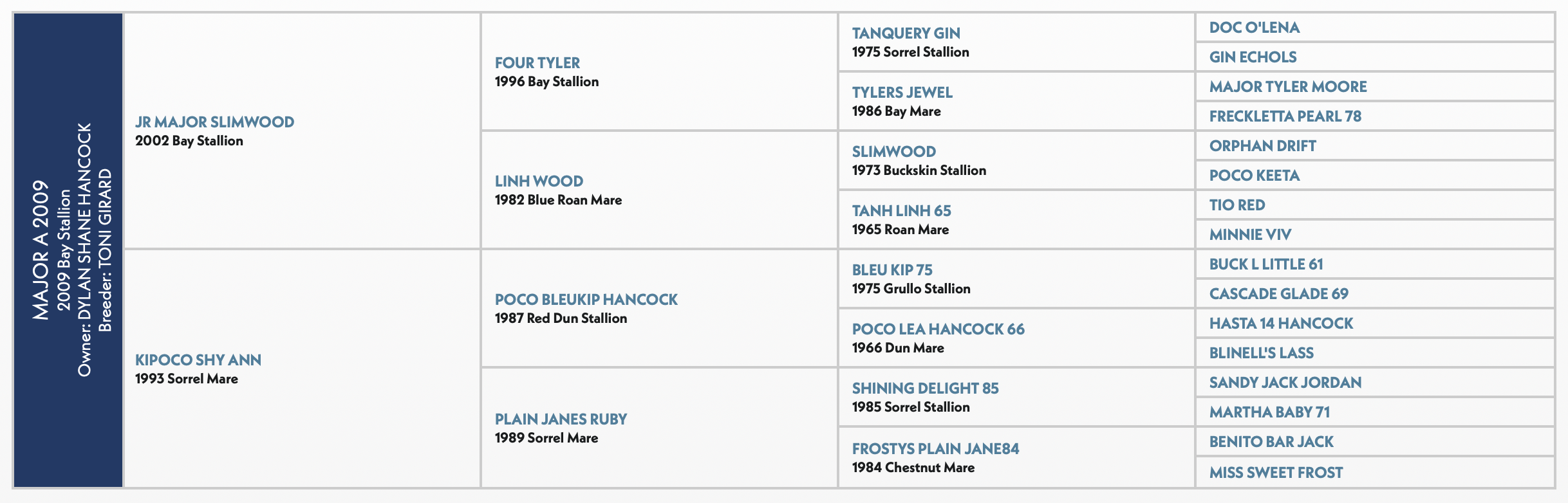 Five-generation pedigree chart for Major A 2009, a bay stallion, listing sires and dams including Jr Major Slimwood and Kipoco Shy Ann
