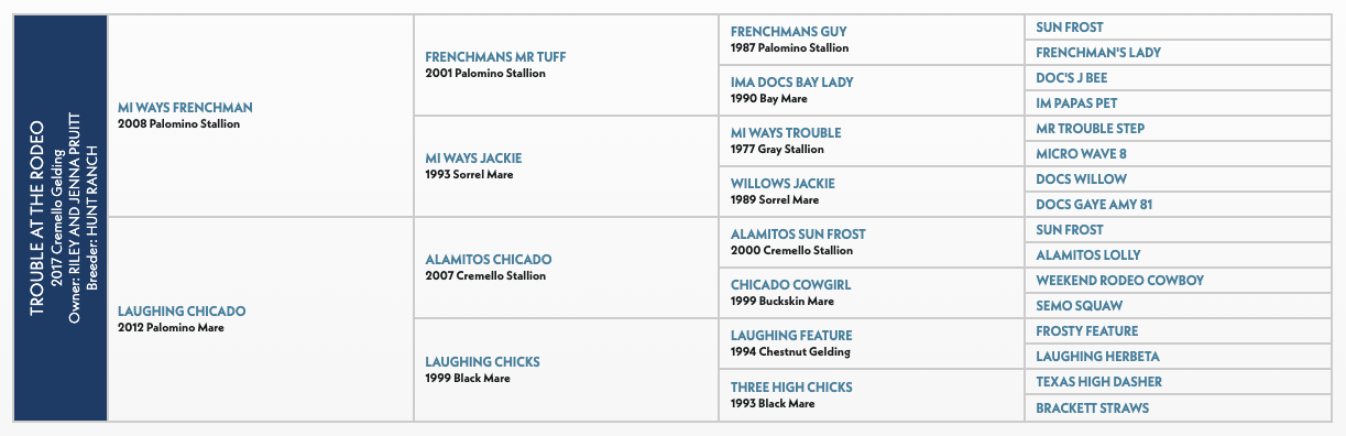 Five-generation pedigree chart for Trouble At The Rodeo, a 2017 cremello gelding, listing sires and dams by year and color