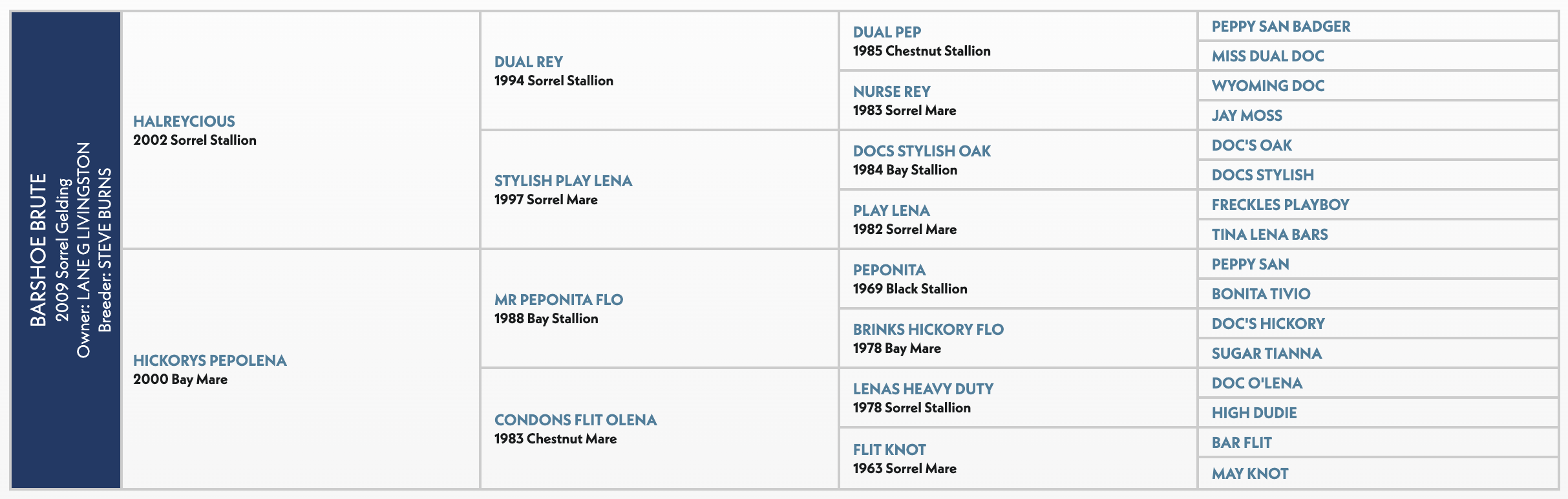 Five-generation pedigree chart for Barshoe Brute, a 2009 sorrel gelding by Halreycious out of Hickorys Pepolena