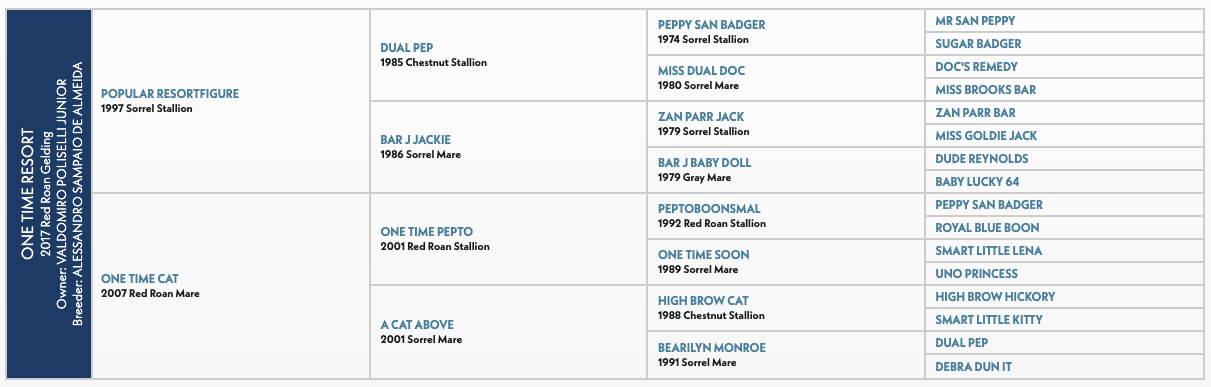 Four-generation pedigree chart for One Time Resort, a 2017 red roan gelding by Popular Resortfigure out of One Time Cat