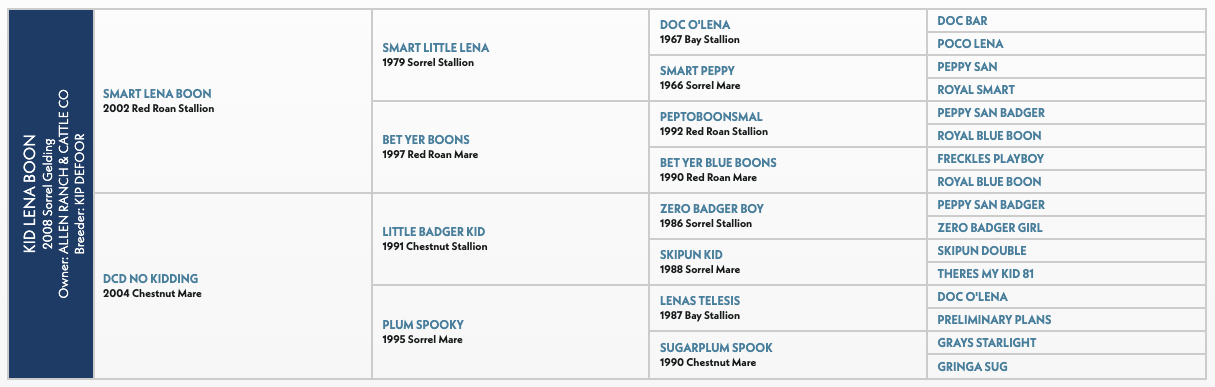 Four-generation pedigree chart for Kid Lena Boon, a 2008 sorrel gelding, listing sires and dams including Smart Lena Boon and DCD No Kidding